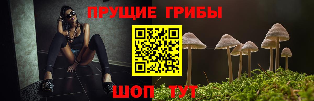 Галлюциногенные грибы GOLDEN TEACHER  Галлюциногенные грибы мухоморы  Пыть-Ях  Вход с VPN 